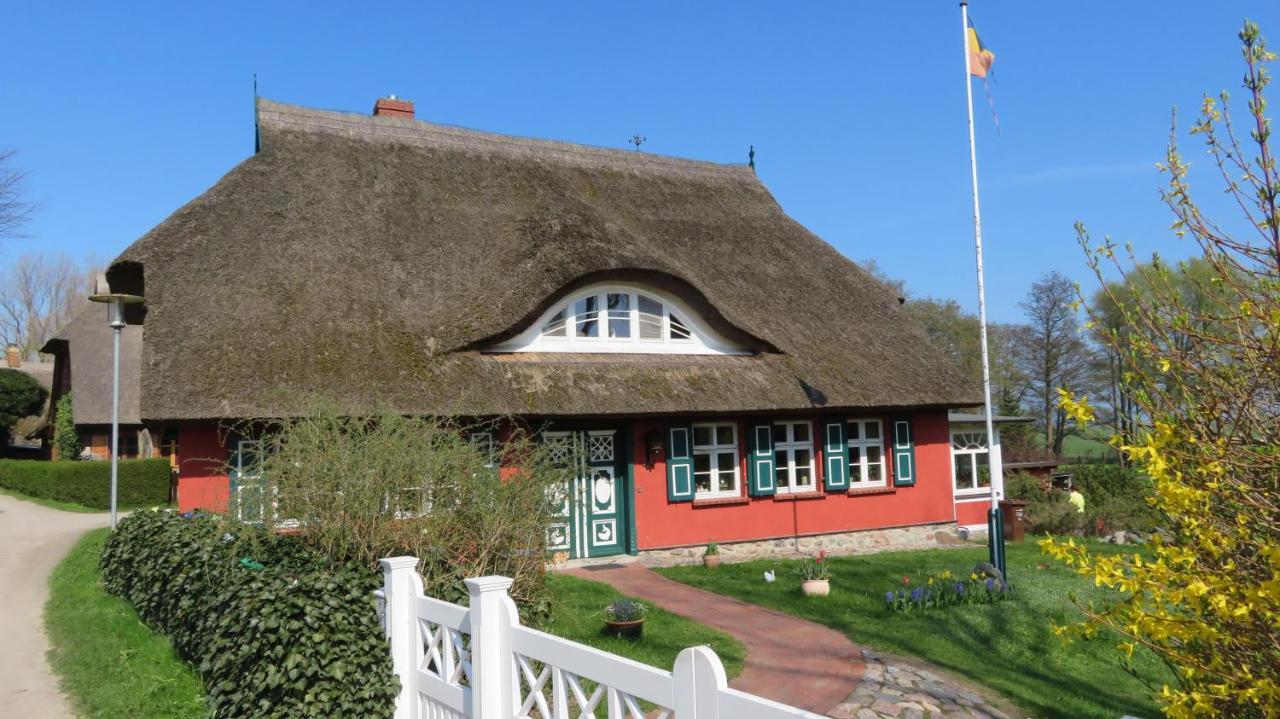 Strandstr.51 Wohnung 9 Ostseeheilbad Ostseeheilbad Zingst Exterior foto
